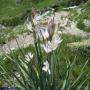 Randonnées dans les Pyrénées