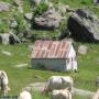 Refuges des Pyrénées : Cabane du Col Long d'Ayous