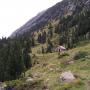 Refuges des Pyrénées : Cabane Pinet