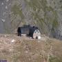 Randonnées dans les Pyrénées Refuge de Bayssellance