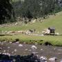 Randonnées dans les Pyrénées