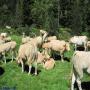 Randonnées dans les Pyrénées