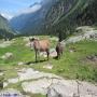 Randonnées dans les Pyrénées