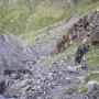 Randonnées dans les Pyrénées