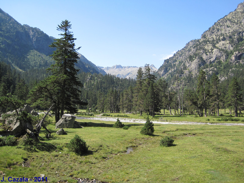 Le plateau du Marcadau en été