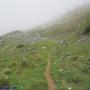 Randonnées dans les Pyrénées