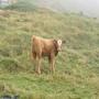 Randonnées dans les Pyrénées