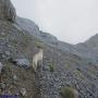 Randonnées dans les Pyrénées