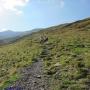 Randonnées dans les Pyrénées