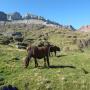 Randonnées dans les Pyrénées