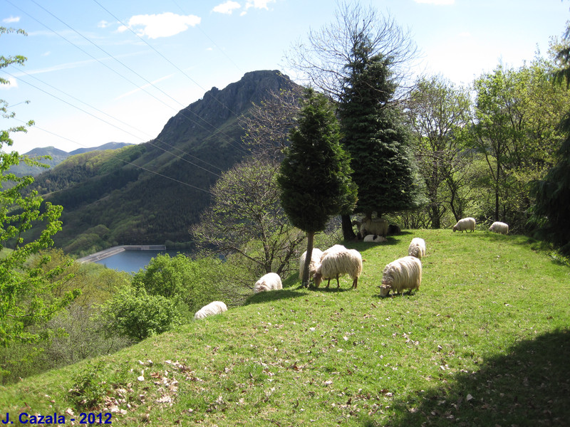 Vue typique sur les Pyrénées Basque