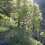 Randonnées dans les Pyrénées