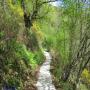 Randonnées dans les Pyrénées