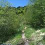 Randonnées dans les Pyrénées