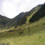 Randonnées dans les Pyrénées