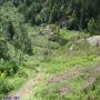 Randonnées dans les Pyrénées