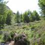 Randonnées dans les Pyrénées