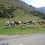 Randonnées dans les Pyrénées