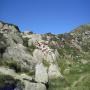 Randonnées dans les Pyrénées