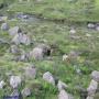 Randonnées dans les Pyrénées