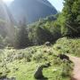 Randonnées dans les Pyrénées