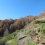 Randonnées dans les Pyrénées