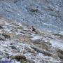 Randonnées dans les Pyrénées