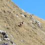 Randonnées dans les Pyrénées