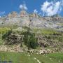 Randonnées dans les Pyrénées