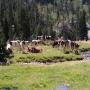 Randonnées dans les Pyrénées