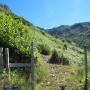 Randonnées dans les Pyrénées