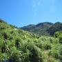 Randonnées dans les Pyrénées