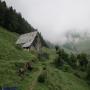 Randonnées dans les Pyrénées