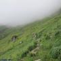 Randonnées dans les Pyrénées