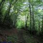 Randonnées dans les Pyrénées