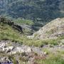 Randonnées dans les Pyrénées