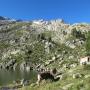 Randonnées dans les Pyrénées