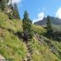 Randonnées dans les Pyrénées