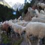 Randonnées dans les Pyrénées