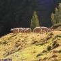 Randonnées dans les Pyrénées