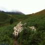 Randonnées dans les Pyrénées