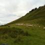 Randonnées dans les Pyrénées