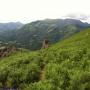 Randonnées dans les Pyrénées