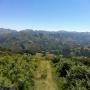 Randonnées dans les Pyrénées