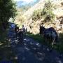 Randonnées dans les Pyrénées