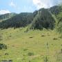 Randonnées dans les Pyrénées