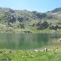 Randonnées dans les Pyrénées