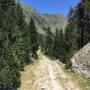 Randonnées dans les Pyrénées