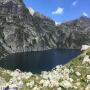 Randonnées dans les Pyrénées