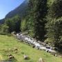 Randonnées dans les Pyrénées